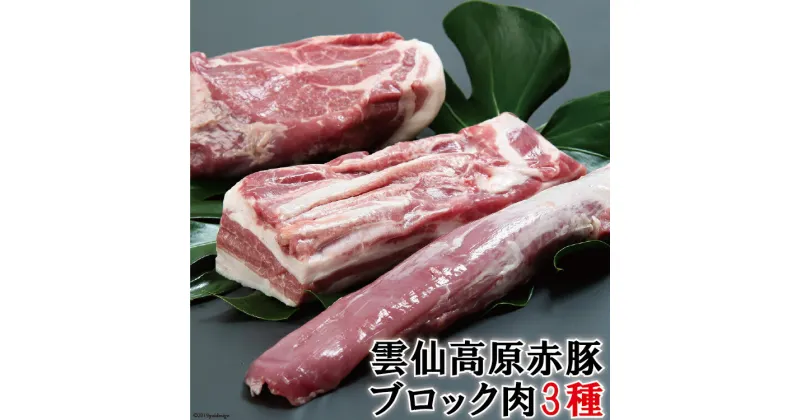 【ふるさと納税】豚肉 長崎県産 雲仙高原赤豚 ブロック肉 3種 約1900g [長崎県農産品流通 長崎県 雲仙市 item1546] ブロック 1.9kg 肉 豚