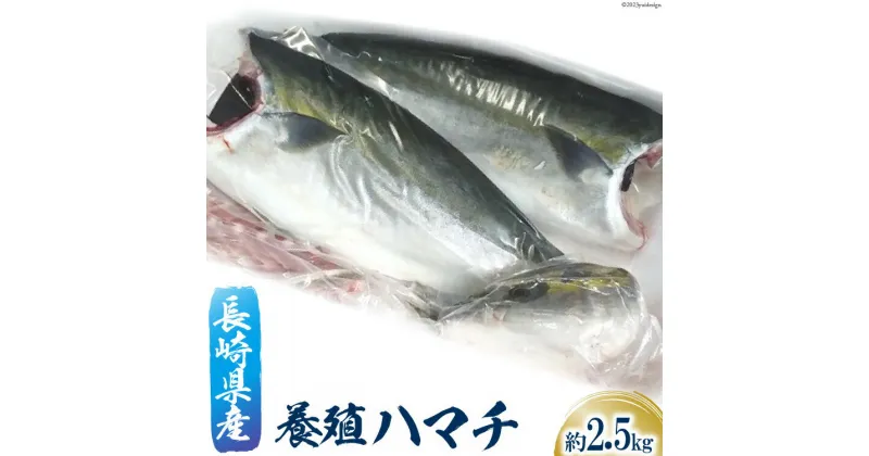 【ふるさと納税】長崎県産 養殖 ハマチ フィーレ 約 2.5kg [田中鮮魚卸 長崎県 雲仙市 item1804] はまち 冷凍 フィレ