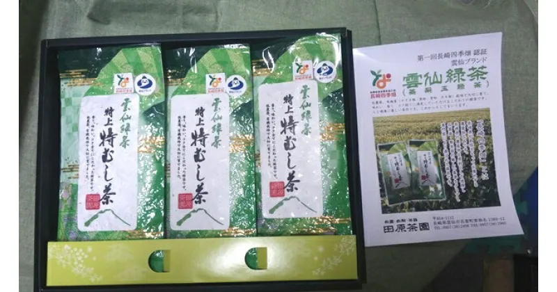 【ふるさと納税】雲仙緑茶 特上特むし茶 90g×3本 [田原茶園 長崎県 雲仙市 item1760] お茶 茶葉 緑茶