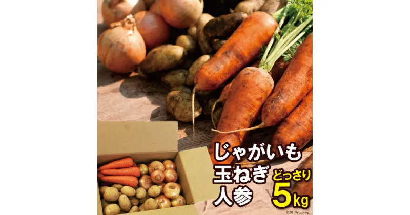 【ふるさと納税】【期間限定発送】季節の野菜 セット 5kg 【じゃが・玉ねぎ・人参】 冬限定品 [長崎県農産品流通 長崎県 雲仙市 item1544] 野菜 詰め合わせ じゃがいも にんじん たまねぎ セット 5キロ 常備野菜 季節限定 冬限定 期間限定