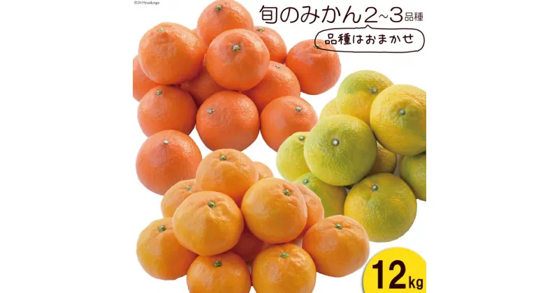 【ふるさと納税】【期間限定発送】 みかん 季節のみかんセット 12kg（4kg×3箱） [森崎果樹園 長崎県 雲仙市 item1341] みかん 果物 くだもの ミカン セット 12キロ 期間限定