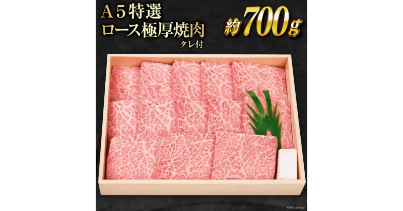 【ふるさと納税】雲仙育ち おがわ牛 A5ランクのみ 特選ロース 極厚 焼肉 [ 焼肉おがわ 長崎県 雲仙市 item0192] 牛肉 肉 長崎和牛