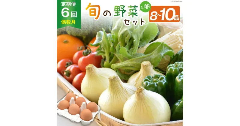 【ふるさと納税】【6回偶数月コース】雲仙のめぐみ 旬の野菜セット (S)【卵6個付き】 8〜10品目セット [長崎県農産品流通 長崎県 雲仙市 item1573] 野菜 定期 野菜セット フルーツ 果物 くだもの 卵 たまご