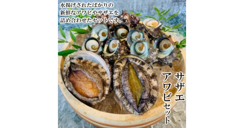 【ふるさと納税】サザエ アワビ セット 1.5kg [田中鮮魚店 長崎県 雲仙市 item1742] さざえ あわび 鮑 詰め合わせ