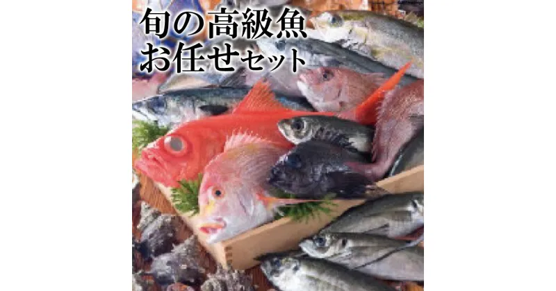 【ふるさと納税】旬の高級魚お任せセット / 田中鮮魚店 / 長崎県雲仙市