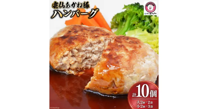 【ふるさと納税】ハンバーグ 雲仙あかね豚 大2個入×2袋 小2個入×3袋 計10個 [雲仙どまんなか 長崎県 雲仙市 item1679] 豚肉 ぶたにく国産 セット 冷凍 ポークハンバーグ ブランド豚 100％ 惣菜