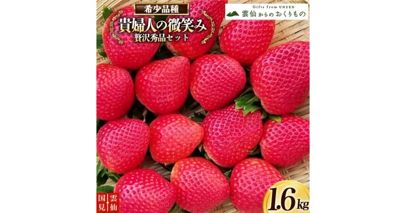 【ふるさと納税】【期間限定発送】いちご 雲仙くにみ苺 貴婦人の微笑み 贅沢秀品セット200g×8p 計1.6kg [国見園芸出荷組合 長崎県 雲仙市 item1717] イチゴ 苺 果物 フルーツ 完熟 ストロベリー 長崎県産 季節限定