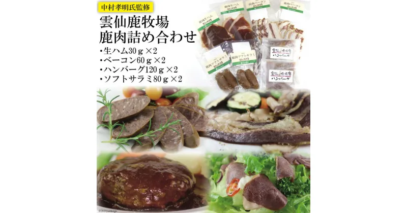 【ふるさと納税】鹿肉 詰め合わせ 4種類×2セット 生ハム ベーコン ハンバーグ ソフトサラミ [ディアー・カンパニー 長崎県 雲仙市 item1513] ジビエ 鹿 シカ肉 しか肉