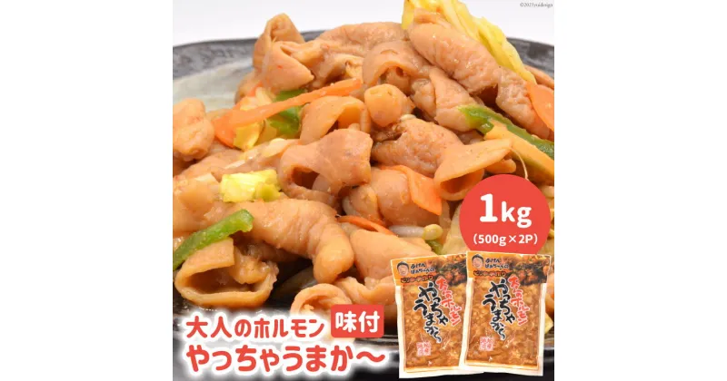 【ふるさと納税】味付 大人のホルモン やっちゃうまか〜 500g×2p 計 1kg [パップ・ザ・セカンドコーポレーション 長崎県 雲仙市 item1801] ホルモン 焼肉 小分け 味付き