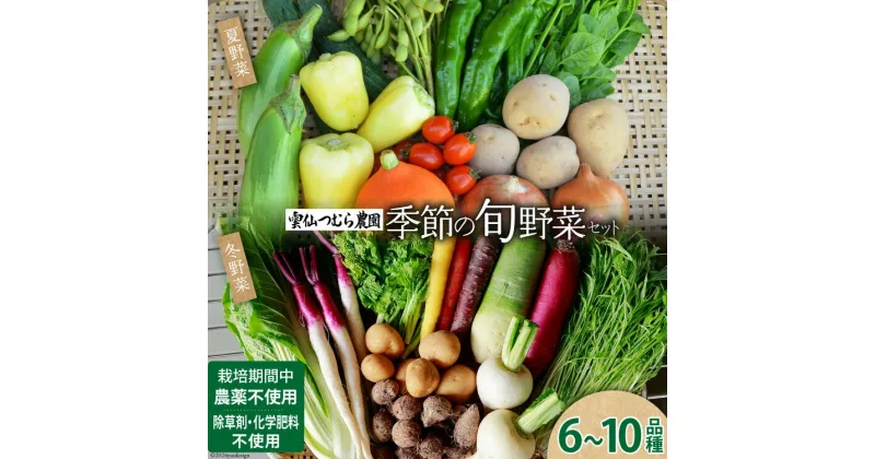 【ふるさと納税】季節の旬野菜セット 6〜10品種 詰め合わせ 産地直送 [雲仙つむら農園 長崎県 雲仙市 item1722] やさい 西洋野菜 根菜 季節野菜 食べ比べ