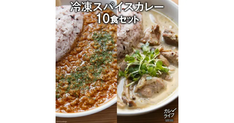 【ふるさと納税】冷凍スパイスカレー10食セット＜カレーライフ＞【長崎県雲仙市】