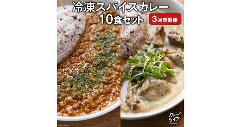 【ふるさと納税】【3回定期便】冷凍スパイスカレー10食セット ふるさと納税 長崎 定期便 ＜カレーライフ＞【長崎県雲仙市】