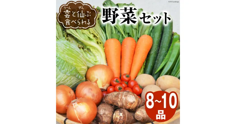 【ふるさと納税】雲（う～ん）と仙（ぜん）ぶ食べられる 野菜セット 8～10品 [肥前グローカル 長崎県 雲仙市 item1392] 野菜セット 野菜 セット 詰め合わせ