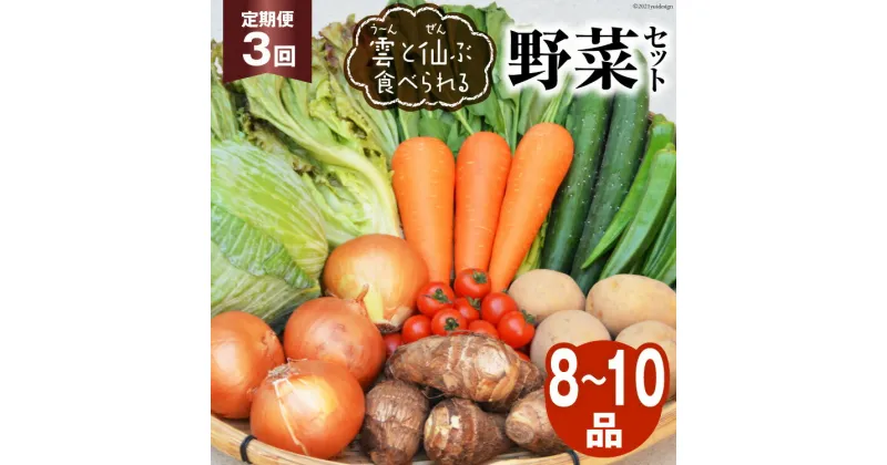 【ふるさと納税】3回 定期便 雲（う～ん）と仙（ぜん）ぶ食べられる 野菜セット 8～10品 [肥前グローカル 長崎県 雲仙市 item1393] 野菜セット 野菜 セット 詰め合わせ