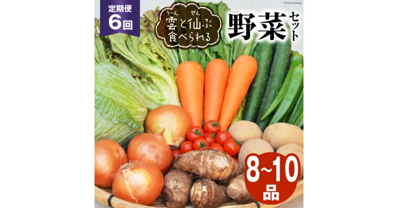 【ふるさと納税】6回 定期便 雲（う～ん）と仙（ぜん）ぶ食べられる 野菜セット 8～10品 [肥前グローカル 長崎県 雲仙市 item1394] 野菜セット 野菜 セット 詰め合わせ