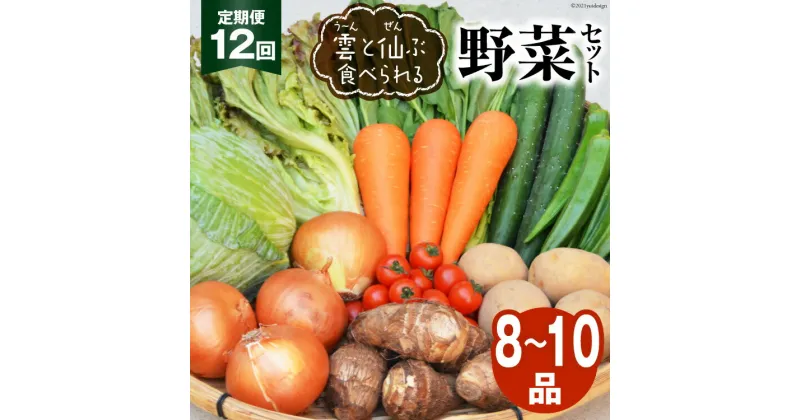 【ふるさと納税】12回 定期便 雲（う～ん）と仙（ぜん）ぶ食べられる 野菜セット 8～10品 [肥前グローカル 長崎県 雲仙市 item1395] 野菜セット 野菜 セット 詰め合わせ