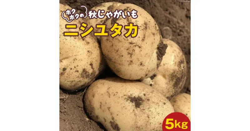 【ふるさと納税】ホクホクの 秋じゃがいも 「 ニシユタカ 」5kg [Taji Farming 長崎県 雲仙市 item1235] 野菜 ジャガイモ 秋じゃが 5キロ 期間限定