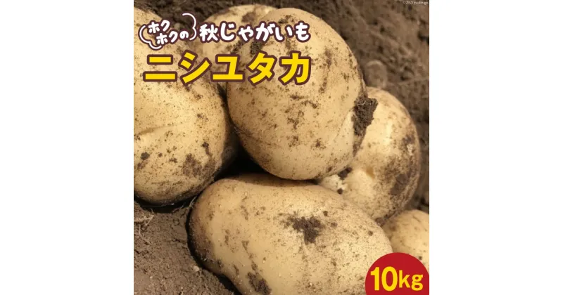 【ふるさと納税】ホクホクの 秋じゃがいも 「 ニシユタカ 」10kg [Taji Farming 長崎県 雲仙市 item1236] 野菜 じゃがいも ジャガイモ 秋じゃが 10キロ 期間限定