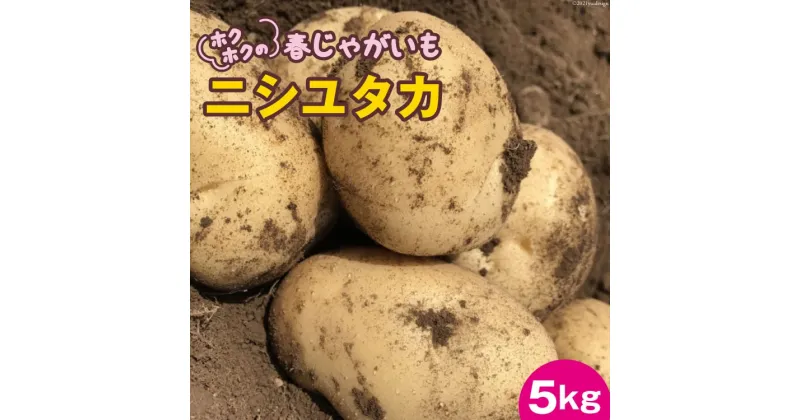 【ふるさと納税】【期間限定発送】ホクホクの 春じゃがいも 「 ニシユタカ 」5kg [Taji Farming 長崎県 雲仙市 item1237] 野菜 じゃがいも 春じゃが 5キロ