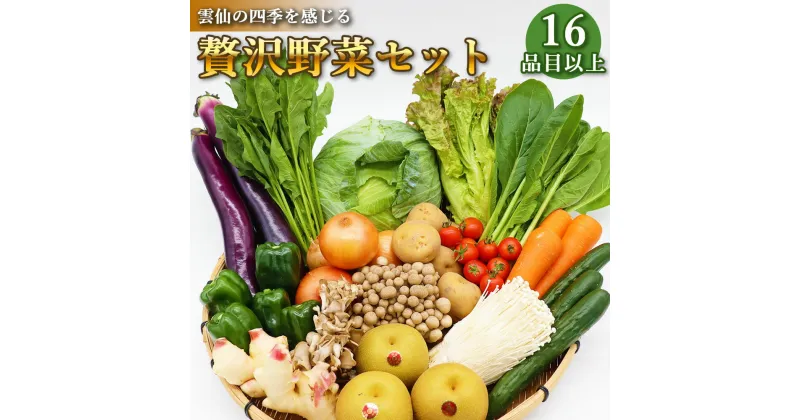 【ふるさと納税】贅沢 野菜 セット どっさり 16品目以上 季節の野菜 フルーツ キノコ 詰め合わせ [吉岡青果 長崎県 雲仙市 item1269]