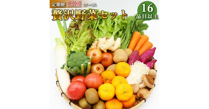 【ふるさと納税】定期便 12回コース 贅沢 野菜 セット どっさり 16品目以上 季節の野菜 フルーツ キノコ 詰め合わせ [吉岡青果 長崎県 雲仙市 item1822]