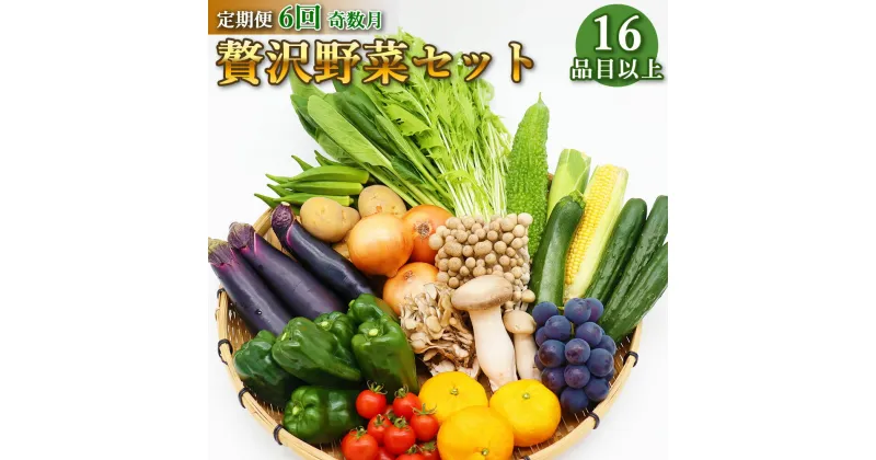 【ふるさと納税】定期便 6回奇数月コース 贅沢 野菜 セット どっさり 16品目以上 季節の野菜 フルーツ キノコ 詰め合わせ [吉岡青果 長崎県 雲仙市 item1824]