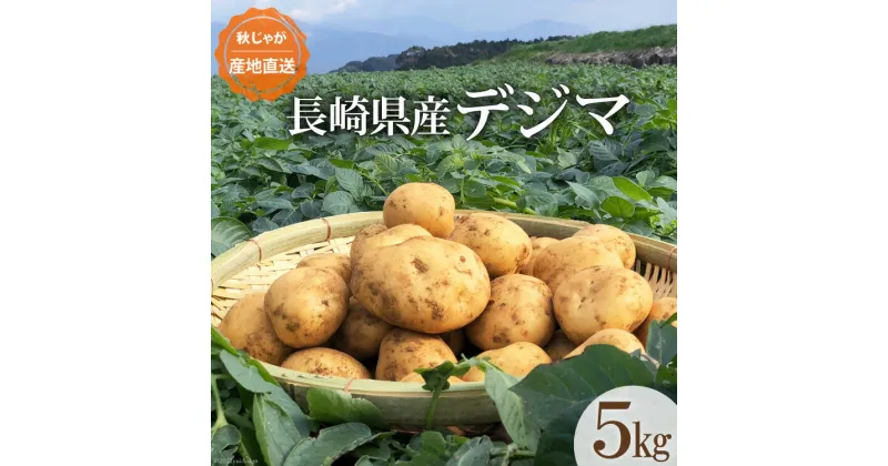 【ふるさと納税】【期間限定発送】 じゃがいも なんぐしデジマ 秋作 5kg [なんぐしデジマプロジェクトチーム 長崎県 雲仙市 item1217] ジャガイモ 野菜 デジマ 5キロ 秋じゃが