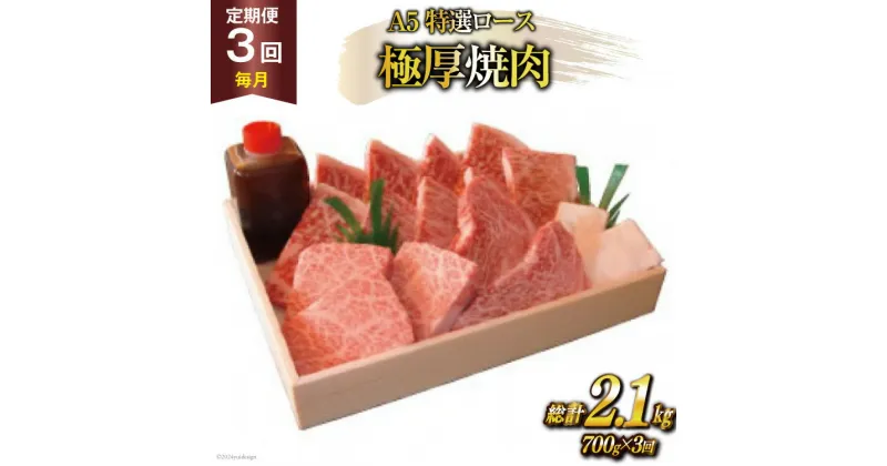 【ふるさと納税】定期便 3回 牛肉 雲仙育ち おがわ牛 A5 特選 ロース 極厚焼肉 総計2.1kg(700g×3回) 黒毛和牛 冷凍 [焼肉おがわ 長崎県 雲仙市 item1840]