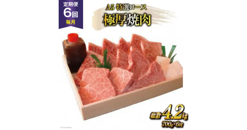 【ふるさと納税】定期便 6回 牛肉 雲仙育ち おがわ牛 A5 特選 ロース 極厚焼肉 総計4.2kg(700g×6回) 黒毛和牛 冷凍 [焼肉おがわ 長崎県 雲仙市 item1841]