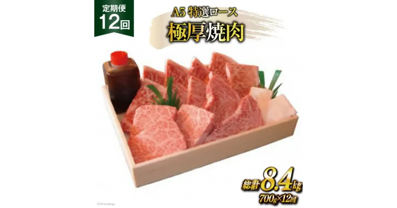 【ふるさと納税】定期便 12回 牛肉 雲仙育ち おがわ牛 A5 特選 ロース 極厚焼肉 総計8.4kg(700g×12回) 黒毛和牛 冷凍 / 焼肉おがわ / 長崎県 雲仙市