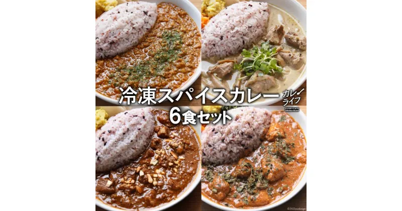 【ふるさと納税】冷凍 スパイスカレー 4種 計6食セット [カレーライフ 長崎県 雲仙市 item1729] カレー キーマ グリーン チキン ポーク 詰め合わせ 食べ比べ