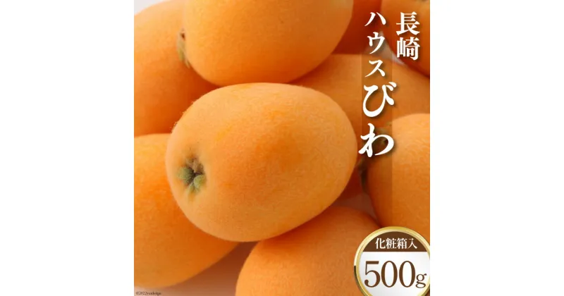 【ふるさと納税】【先行受付】長崎ハウス びわ 500g 化粧箱入り [吉岡青果 長崎県 雲仙市 item1304] 果物 くだもの フルーツ 500グラム 熨斗対応 贈答用