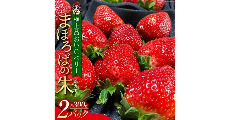 【ふるさと納税】【期間限定発送】 いちご まほろばの朱(あかり) 300g×2p 大粒 計600g 2.0 極上品 おいCベリー [吉田農園まほら 長崎県 雲仙市 item1720] イチゴ 苺 果物 フルーツ 完熟 ストロベリー 長崎県産 季節限定