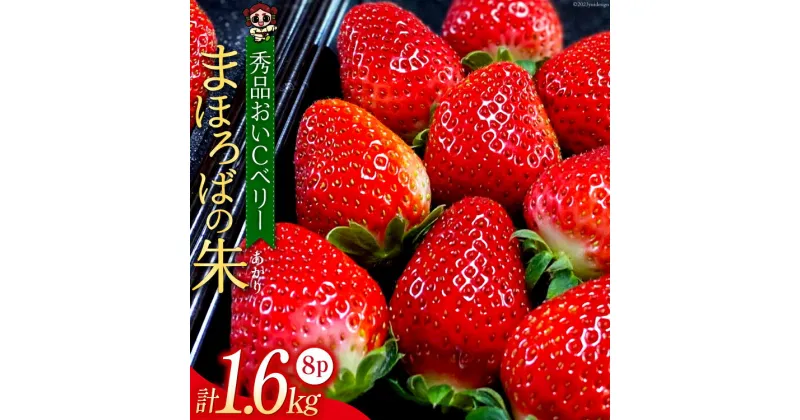 【ふるさと納税】【期間限定発送】 いちご まほろばの朱(あかり) 200g×8p 計1.6kg 秀品おいCベリー [吉田農園まほら 長崎県 雲仙市 item1719] イチゴ 苺 果物 フルーツ 完熟 ストロベリー 長崎県産 季節限定