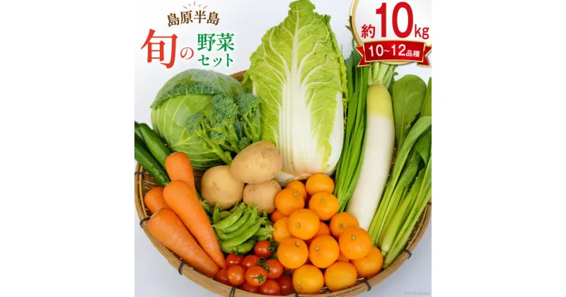 【ふるさと納税】【先行受付】島原半島の旬の野菜セット 10～12品種 [まるまさ 長崎県 雲仙市 item1203] 野菜 やさい 詰め合わせ 食べ比べ 期間限定