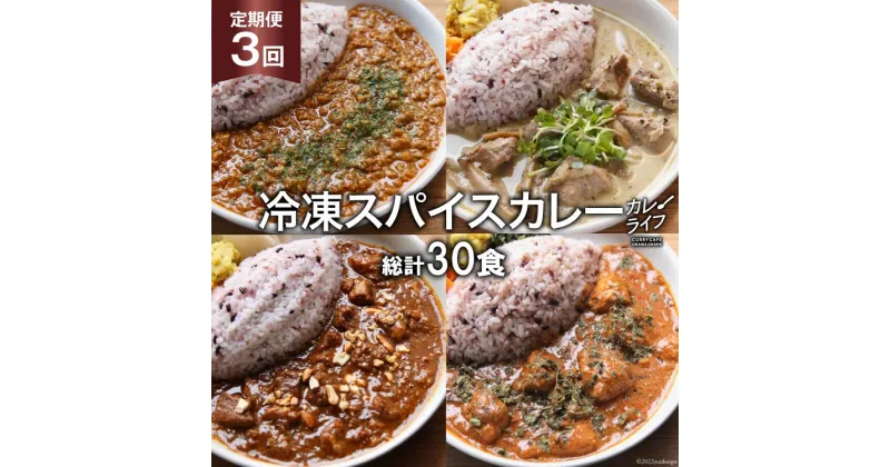 【ふるさと納税】【3回定期便】冷凍 スパイスカレー 4種10食×3回 総計30食 [カレーライフ 長崎県 雲仙市 item0895] カレー キーマ グリーン チキン ポーク 詰め合わせ 食べ比べ 定期便