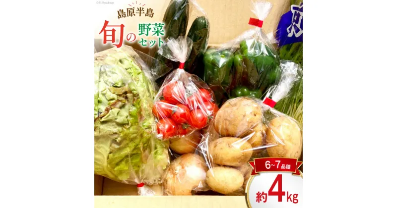 【ふるさと納税】島原半島の旬の野菜 セット 6～7品種 約4kg [まるまさ 長崎県 雲仙市 item1213] 野菜 やさい 旬 詰め合わせ 食べ比べ 期間限定