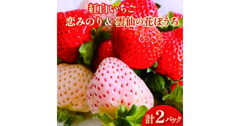 【ふるさと納税】【期間限定発送】 いちご 紅白いちごセット ｢恋みのり｣ ｢雲仙の花ぼうろ｣ 計2パック [トトノウ 長崎県 雲仙市 item1416] 苺 イチゴ 2パック 赤いちご 白いちご フルーツ 果物 くだもの 期間限定 季節限定 セット 食べ比べ