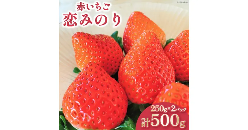 【ふるさと納税】【12月22〜23日お届け】 いちご 赤いちご 恋みのり 250g×2パック [トトノウ 長崎県 雲仙市 item1414-1] 苺 イチゴ クリスマス フルーツ 果物 くだもの 期間限定 季節限定