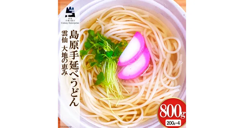 【ふるさと納税】島原手延べうどん 200g×4袋 計800g [コロニーエンタープライズ 長崎県 雲仙市 item1267] 麺 うどん 手延 島原 レビューキャンペーン