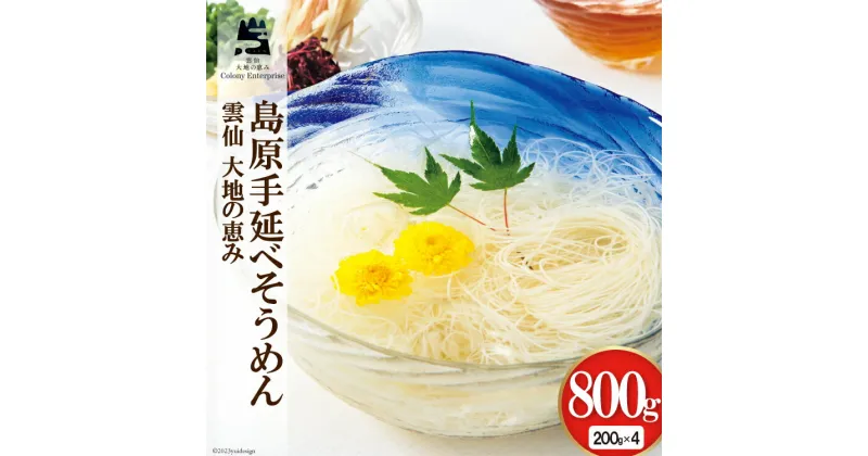 【ふるさと納税】島原手延べ素麺 200g×4袋 計800g [コロニーエンタープライズ 長崎県 雲仙市 item1265] 麺 そうめん 素麺 手延 島原 レビューキャンペーン