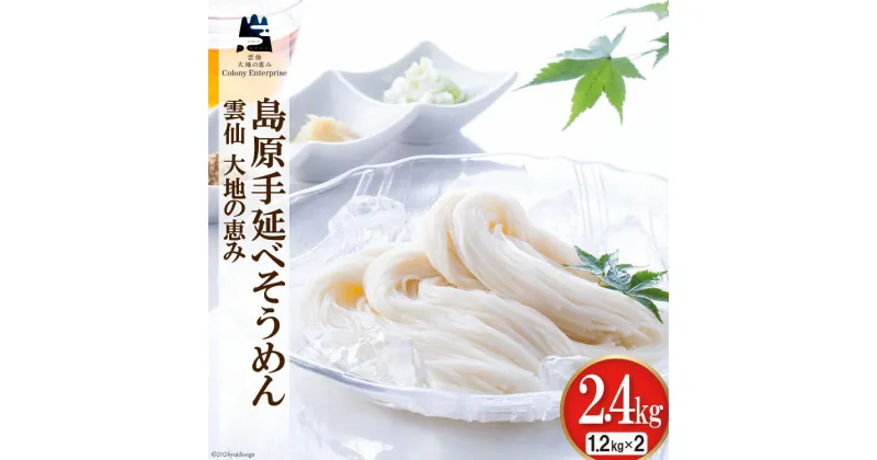 【ふるさと納税】島原手延べ素麺 1.2kg×2箱 計2.4kg [コロニーエンタープライズ 長崎県 雲仙市 item1820] 麺 そうめん 素麺 手延 島原