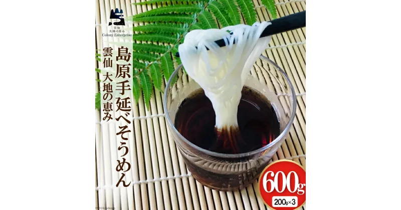 【ふるさと納税】手延べ素麺200g×3袋 計600g [コロニーエンタープライズ 長崎県 雲仙市 item1310] 麺 そうめん 素麺 手延 手延そうめん 雲仙 レビューキャンペーン