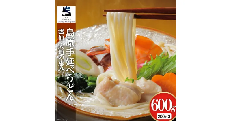 【ふるさと納税】手延べうどん200g×3袋 計600g [コロニーエンタープライズ 長崎県 雲仙市 item1309] 麺 うどん 素麺 手延 手延うどん 雲仙 レビューキャンペーン