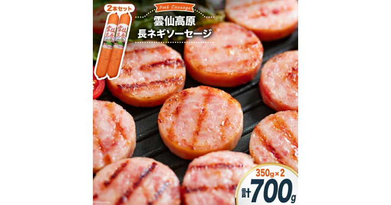 【ふるさと納税】ソーセージ 雲仙高原 長ネギソーセージ 350g 2本 セット [長崎県農産品流通 長崎県 雲仙市 item1897] ボロニアソーセージ 雲仙 ハム