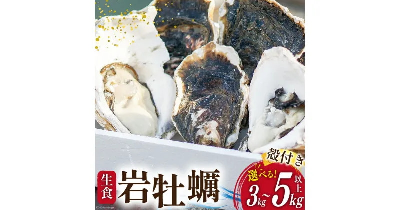 【ふるさと納税】岩牡蠣 生食 【内容量が選べる】 [天洋丸 長崎県 雲仙市 item1909] 牡蠣 かき カキ 冷凍 いわがき 岩がき 殻付 殻付き 先行予約 3kg 5kg