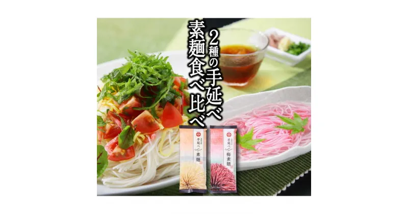 【ふるさと納税】【10/28値上げ予定】島原手延べ素麺 2種 食べ比べ セット B 計450g / 手延べ素麺・手延べ梅素麺 / そうめん 素麺 乾麺 梅 / 南島原市 / ふるせ [SAQ022] 島原そうめん 乾麺