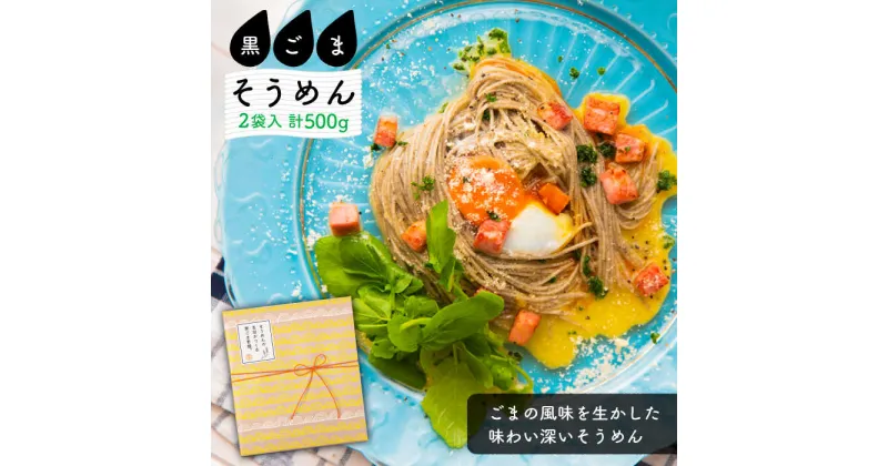 【ふるさと納税】【10/28値上げ予定】そうめんの吉田がつくる 黒ごまそうめん （50g×5束）×2袋入 / そうめん 素麺 黒ごま 麺 乾麺 / 南島原市 / 吉田食品手延工場 [SCL005]