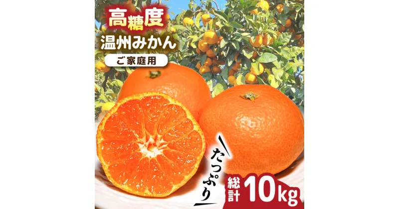 【ふるさと納税】【10/28値上げ予定】【2024年11月下旬〜発送】【高糖度】 温州みかん 約10kg / みかん ミカン 蜜柑 長崎県産みかん 糖度 果物 くだもの フルーツ ふるーつ 旬 家庭用 10kg / 南島原市 / 南島原果物屋 [SCV012]