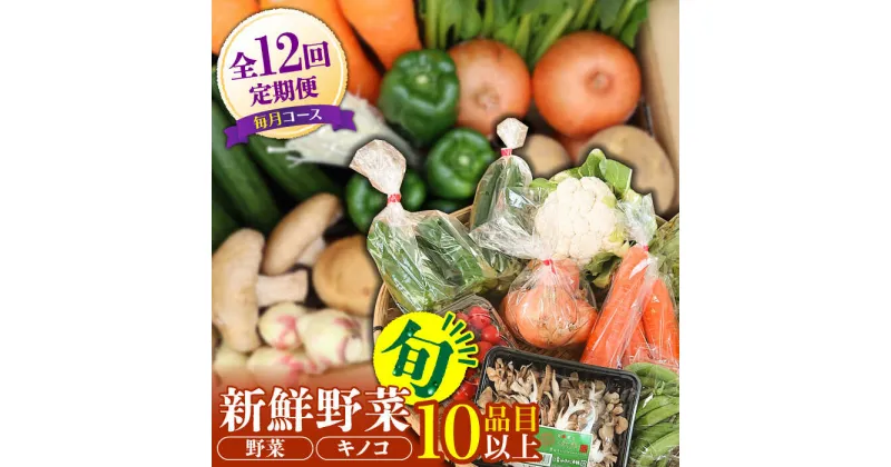 【ふるさと納税】【10/28値上げ予定】【毎月12回定期便】野菜・きのこをセット 10品目以上 / 野菜 やさい きのこ キノコ 詰め合わせ セット 定期便 野菜定期便 きのこ定期便 / 南島原市 / 吉岡青果 [SCZ007]